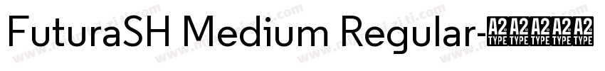 FuturaSH Medium Regular字体转换